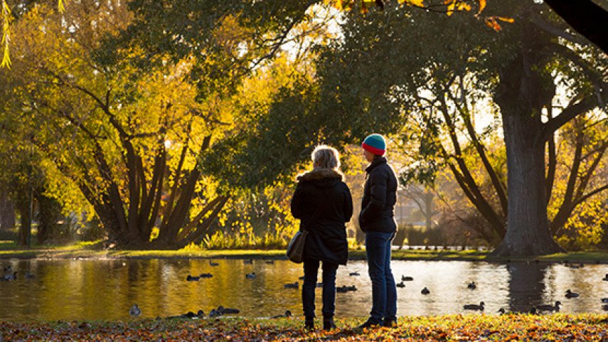 Hagley Park